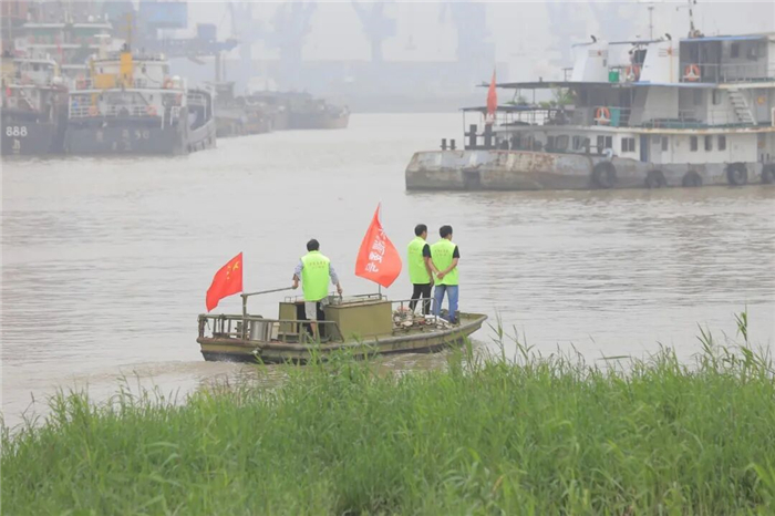 江蘇江陰：“十年綠”換來“一江清”，長江大保護的十年答卷