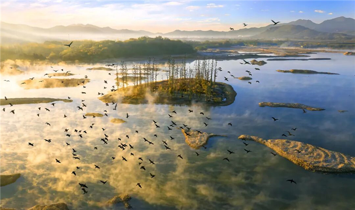 江蘇無錫：湖岸同治 流域共治，讓湖光山色永綻芳華